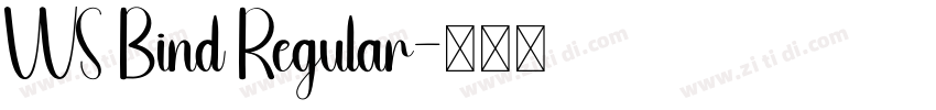 WS Bind Regular字体转换